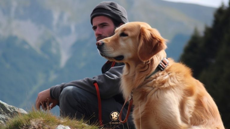 comportement Golden Retriever en famille